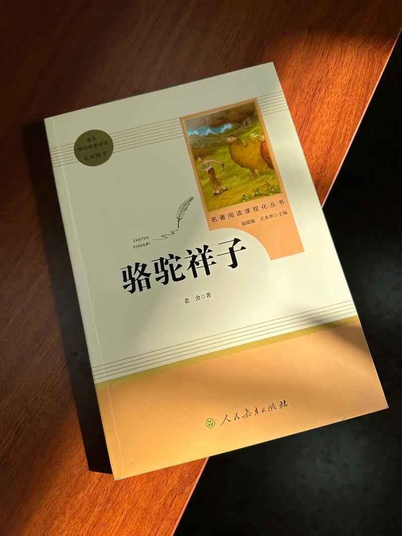 总裁的萌妻欢宝最新章节在线阅读_全文免费阅读