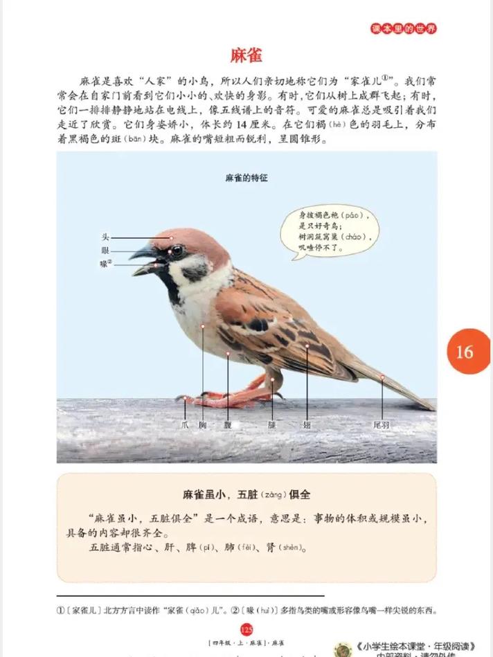 99亿闪婚豪门总裁夜夜忙全文在线阅读