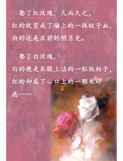 《上下五千年》在线阅读_完整版免费历史书籍