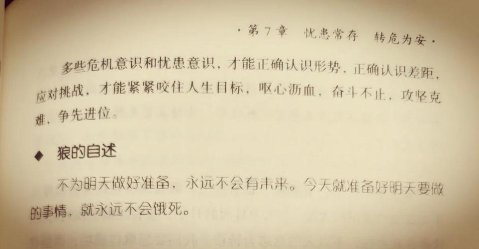 狼道在线阅读：揭秘狼性法则与生存智慧，强者必读