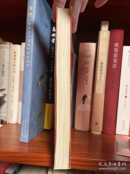 甲方大佬乙方在线阅读：全网首发，揭秘行业巨头合作新模式