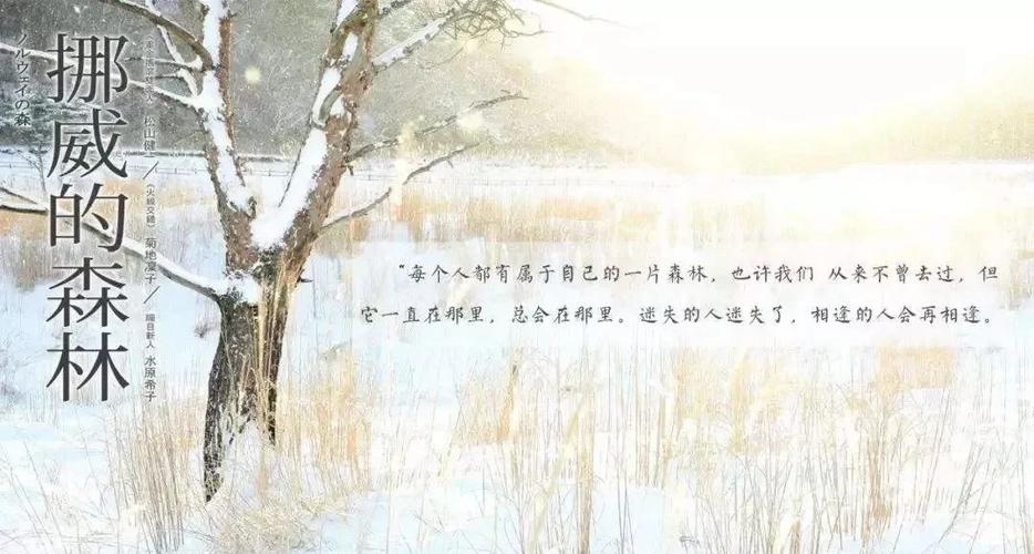 男人的一半是女人在线阅读 | 张贤亮经典小说全文免费阅读