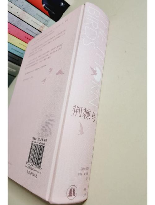 《他的小初恋》全文在线阅读 | 甜宠青春小说推荐