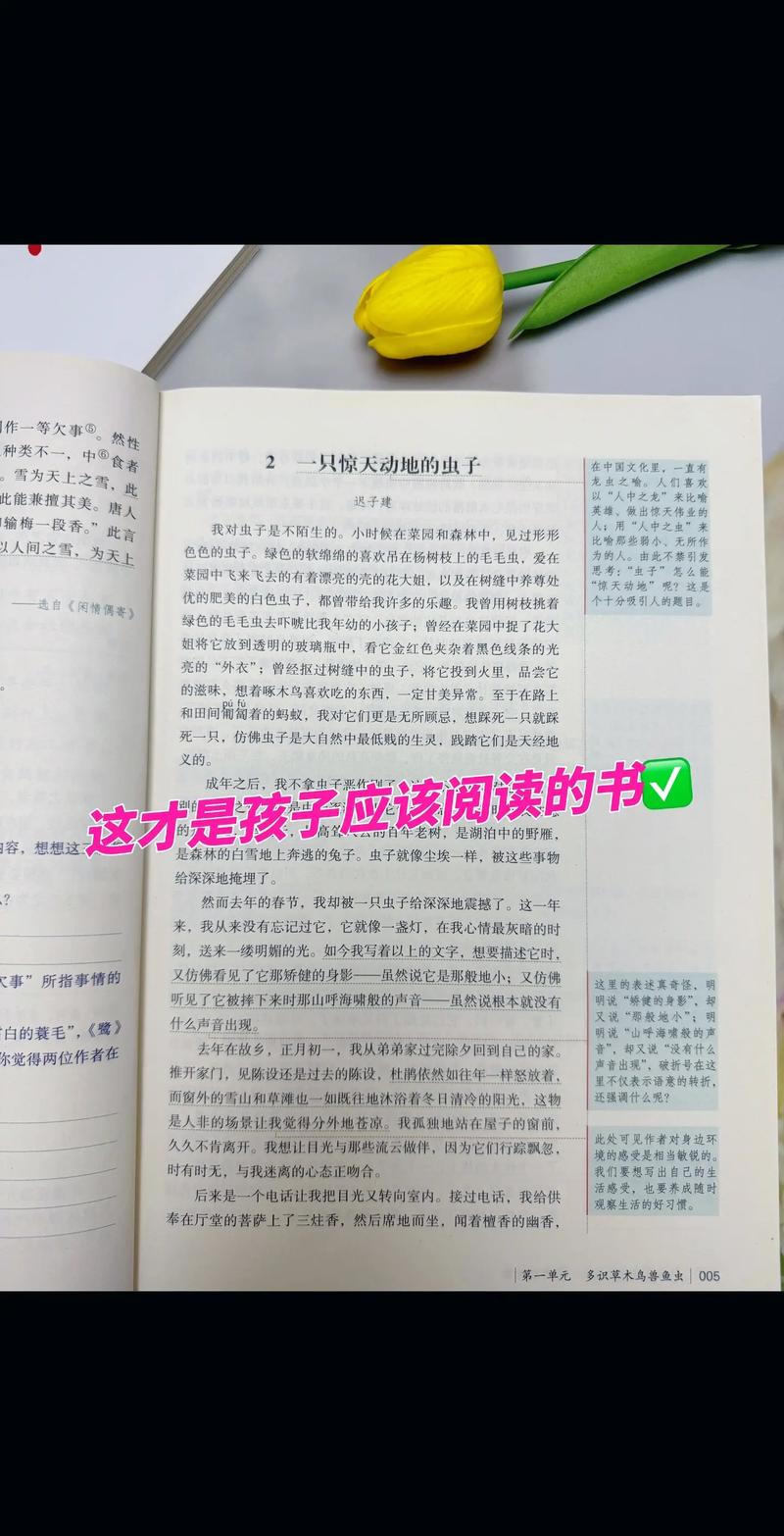 漫画台官网在线阅读 - 海量正版漫画免费看
