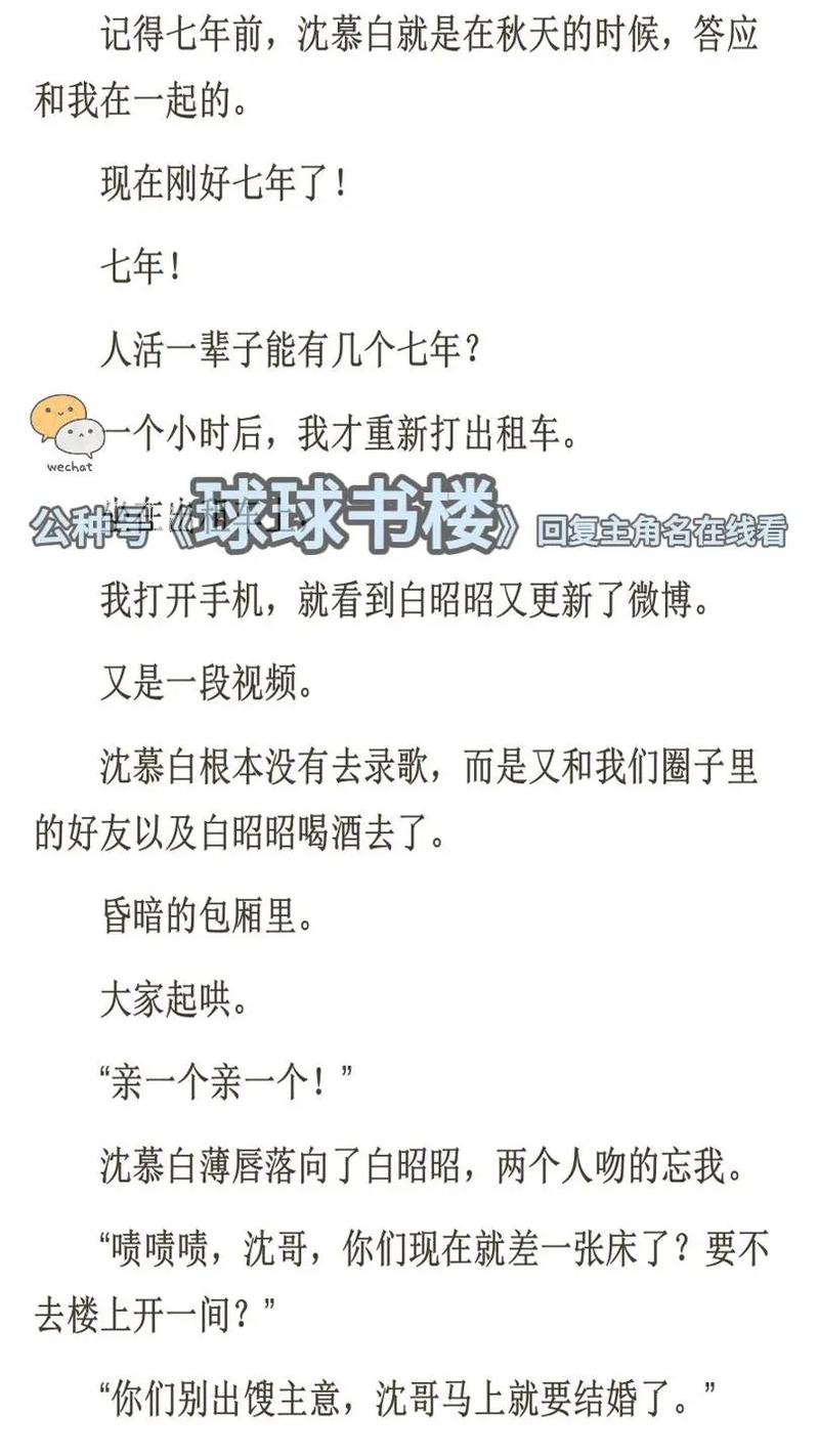 公车上被强入小说全文在线免费阅读
