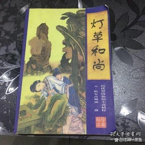 《少f白j完结txt》在线全文阅读|免费下载