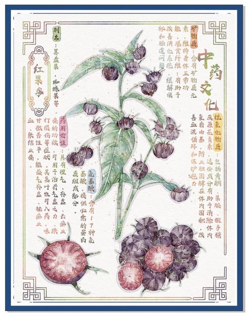 蛙在线阅读 - 免费小说阅读平台，海量正版好书尽在蛙阅读