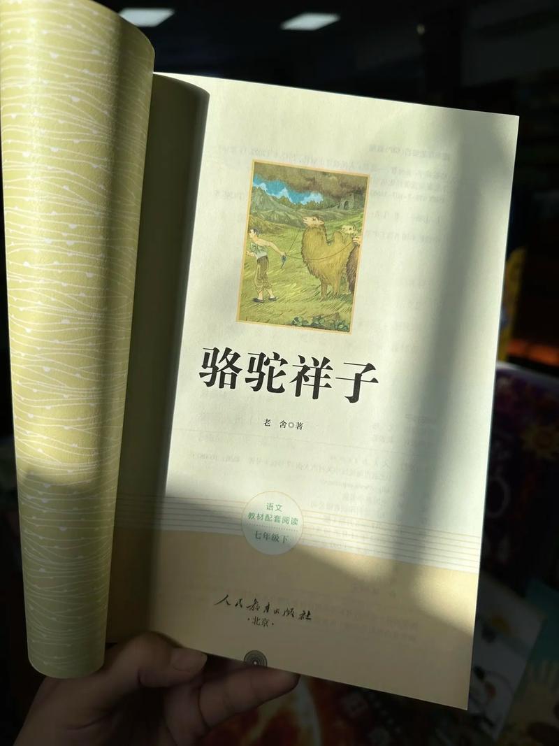 《蔡永康的说话之道》在线阅读：掌握沟通技巧，提升说话艺术