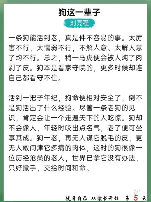 2519免费阅读在线 - 海量小说免费看，一键畅读无广告