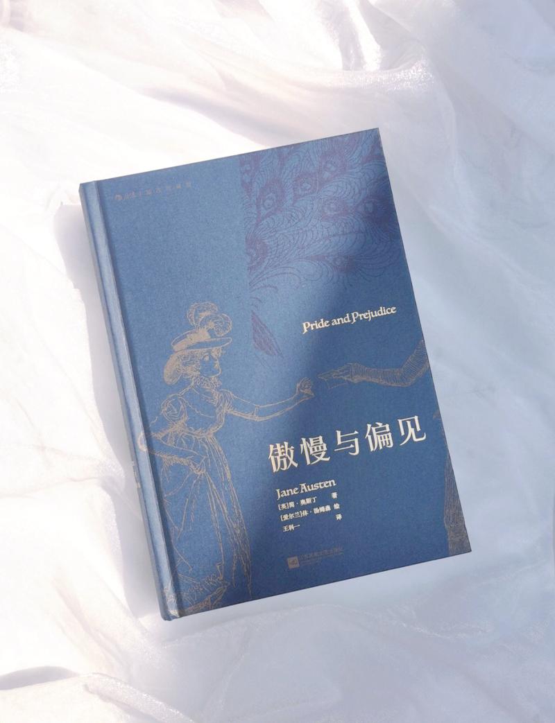 纸玫瑰全文免费在线阅读 | 最新章节无弹窗