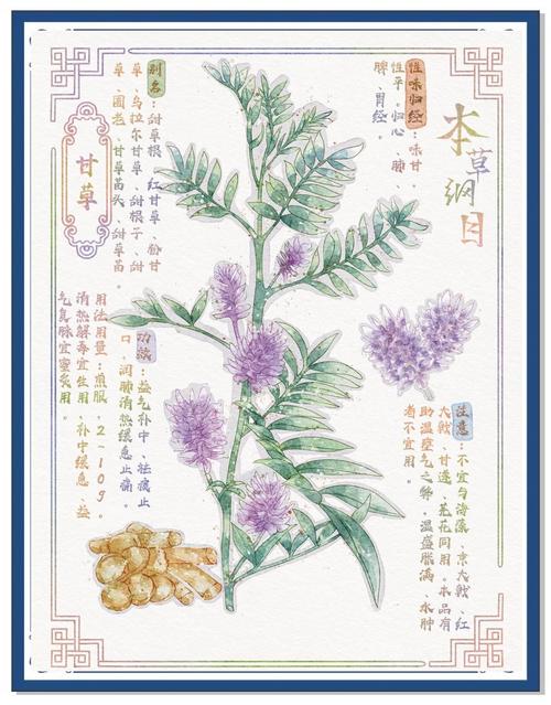 大团结在线阅读 | 红色经典小说全文免费阅读