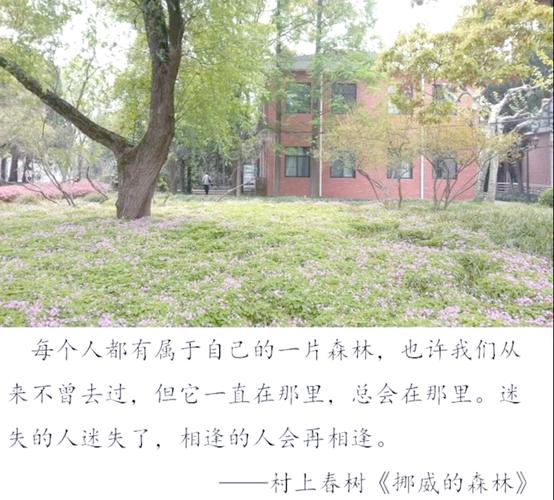 饿了怎么办？｜在线免费阅读完整版