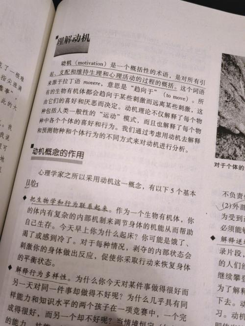 天眼萌妻全文免费在线阅读 | 热门玄幻言情小说