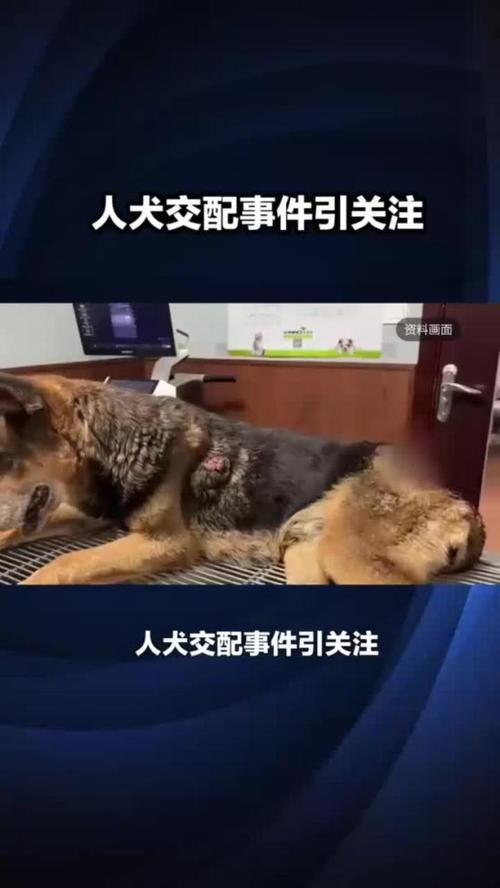 家庭生活乱欲在线阅读 - 热门章节全文无弹窗